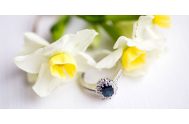 Non-Traditional Engagement Rings